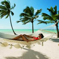 Отзыв от Алёна - DTV виза